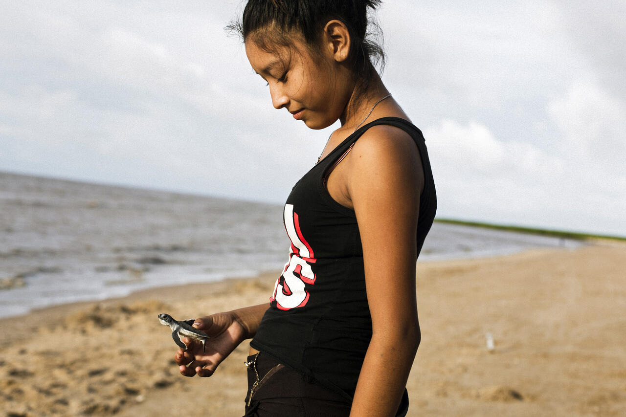 Jeunes pépites - Patrice Terraz - 1