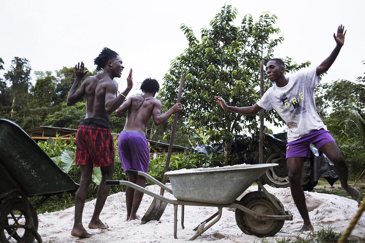 Jeunes pépites - Patrice Terraz - 3