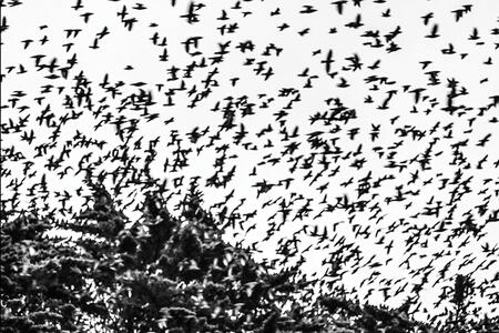 L'obsession de l'ailleurs... L'impossibilité de l'instant