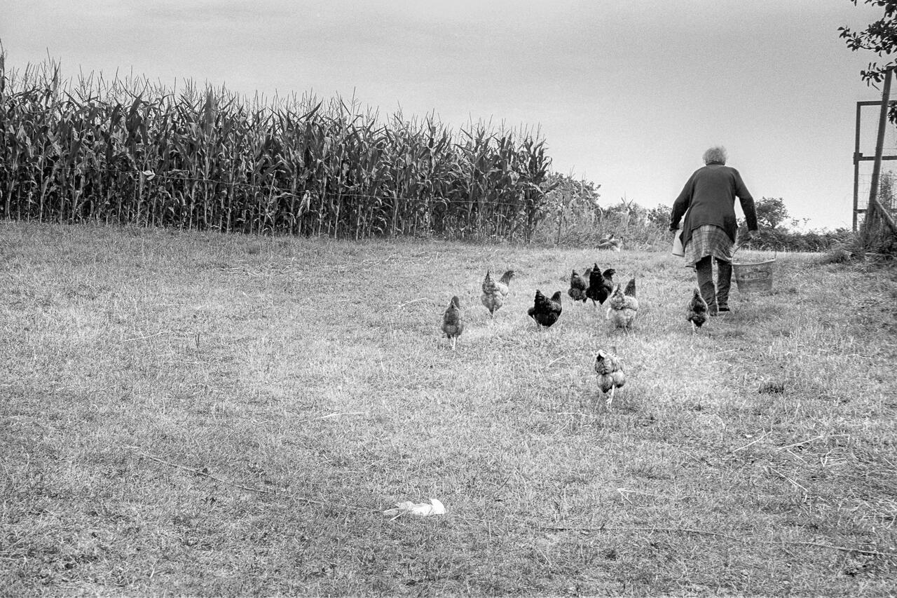 Joséphine - Michèle Le Braz - 3