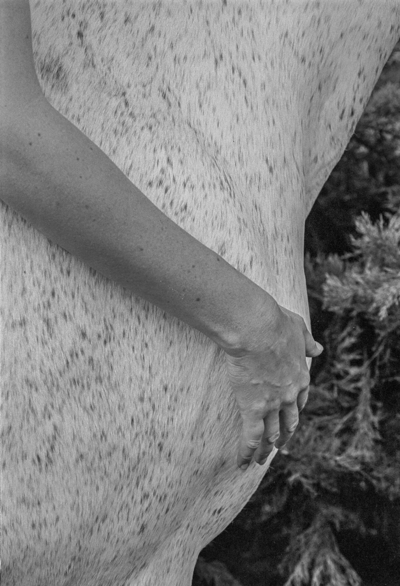 La robe abandonnée - Michèle Le Braz - 1