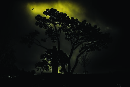 Quand arrive la nuit