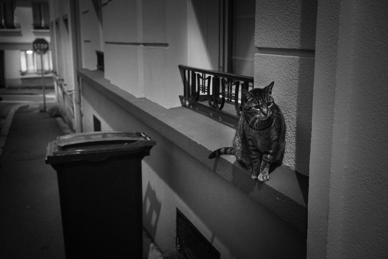 Brest by night - Frédéric Grolhier - 4