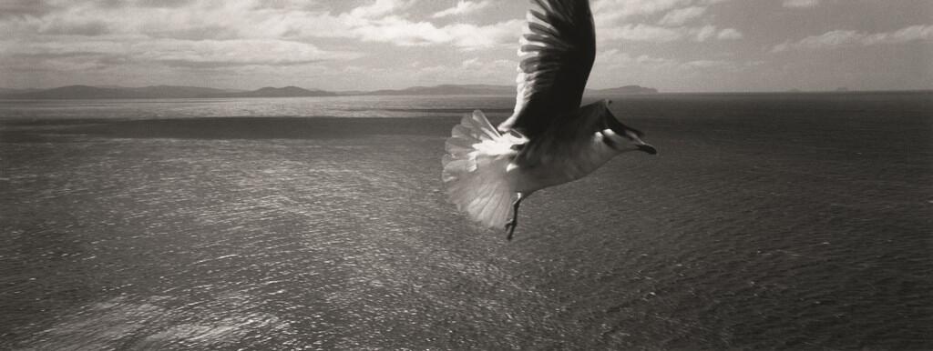 Irlande - Jean Louis Potier