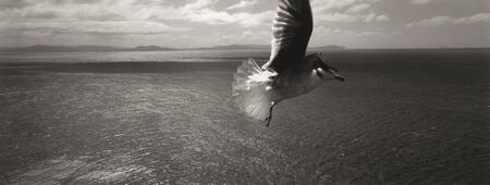 Irlande