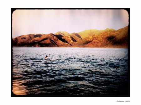 New Zealand & Le desert de Mojave