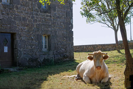 Territoires