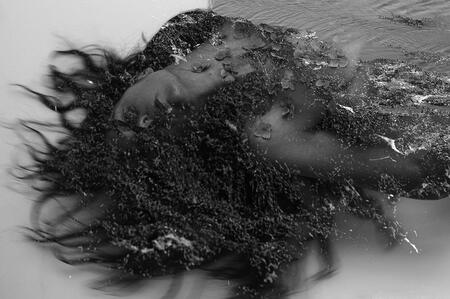 Mes yeux cherchent la mer