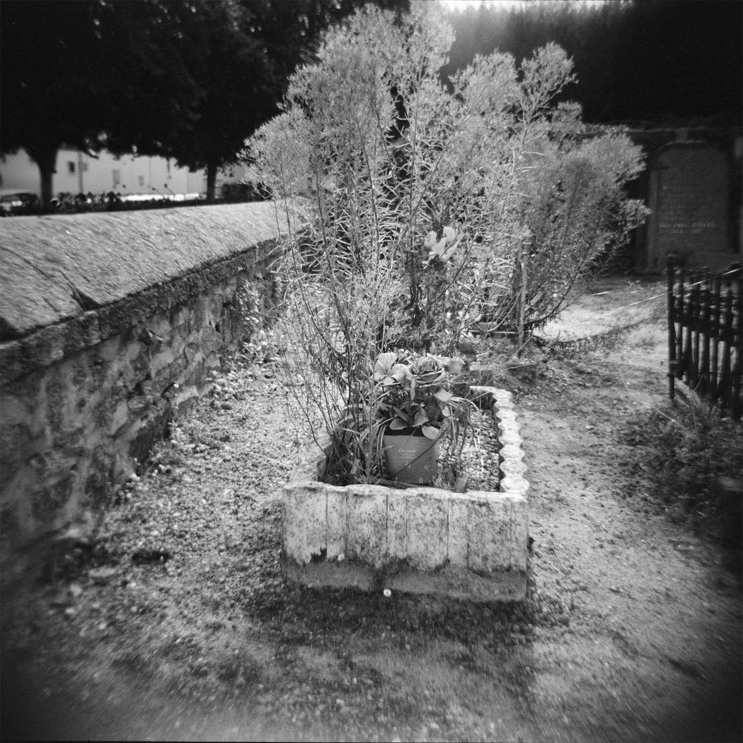 Rest in peace - Exposition photo - 6