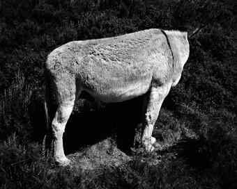 Anne-Claire Broc'h Hors-saison (2008/2009) + Portraits d’été (2009)