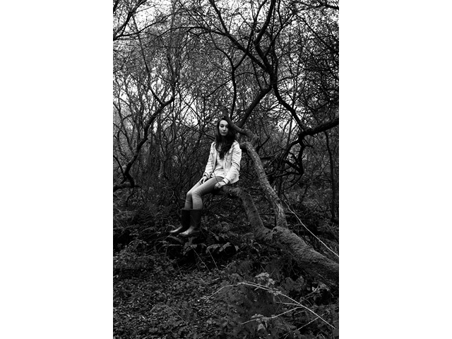 02gillespourtier_lalignedombre_2013site1