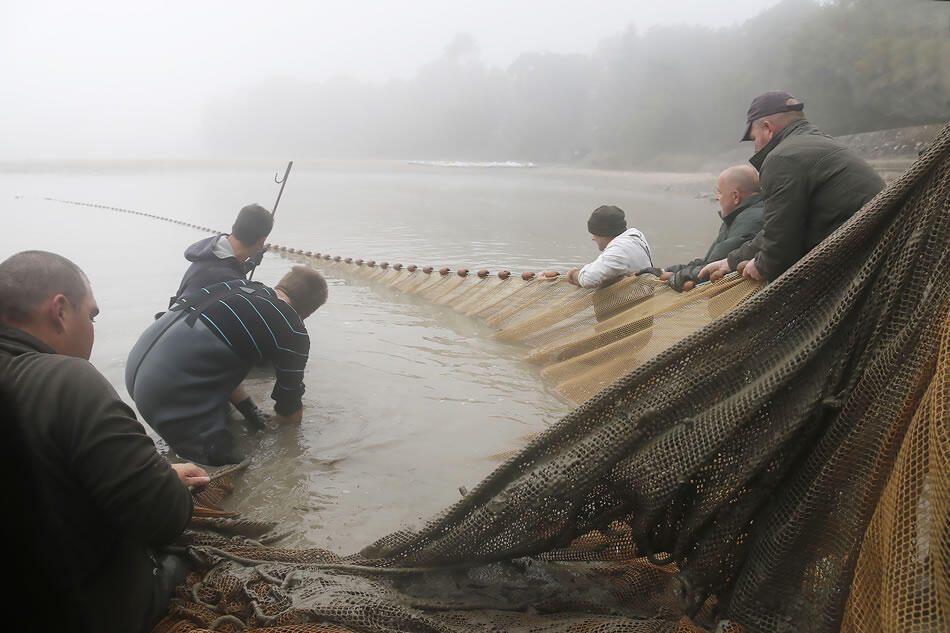 9-Focale-Iroise-Elorn