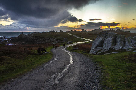 Lumière naturficielle