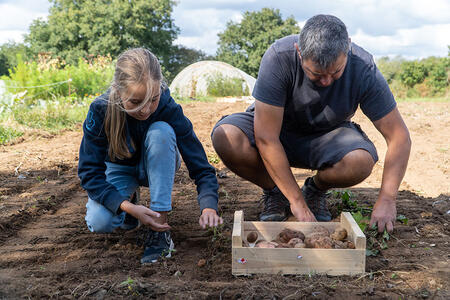 La madeleine de Proust
