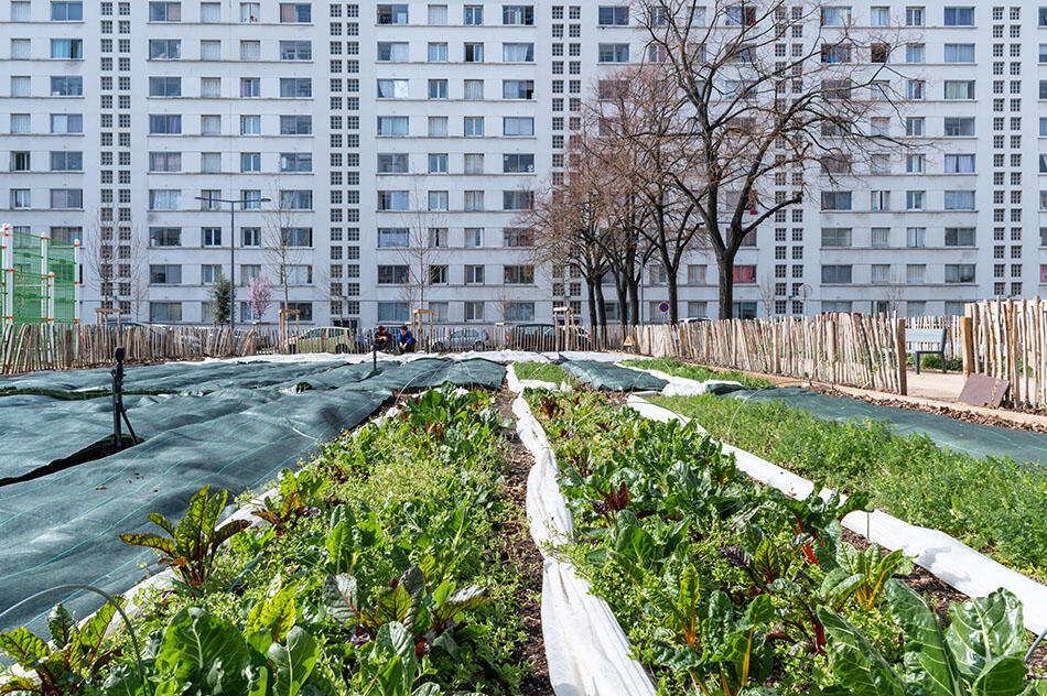 Quand on cultive en ville - Béatrice Prève - 1