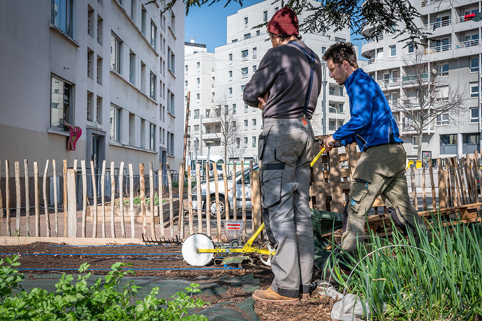 Quand on cultive en ville - Béatrice Prève - 2