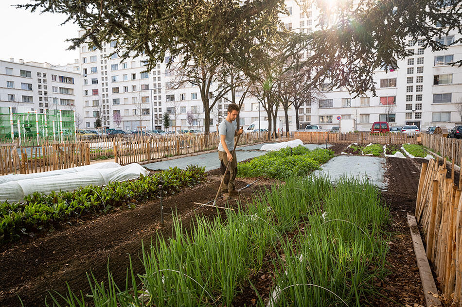 Quand on cultive en ville - Béatrice Prève - 3