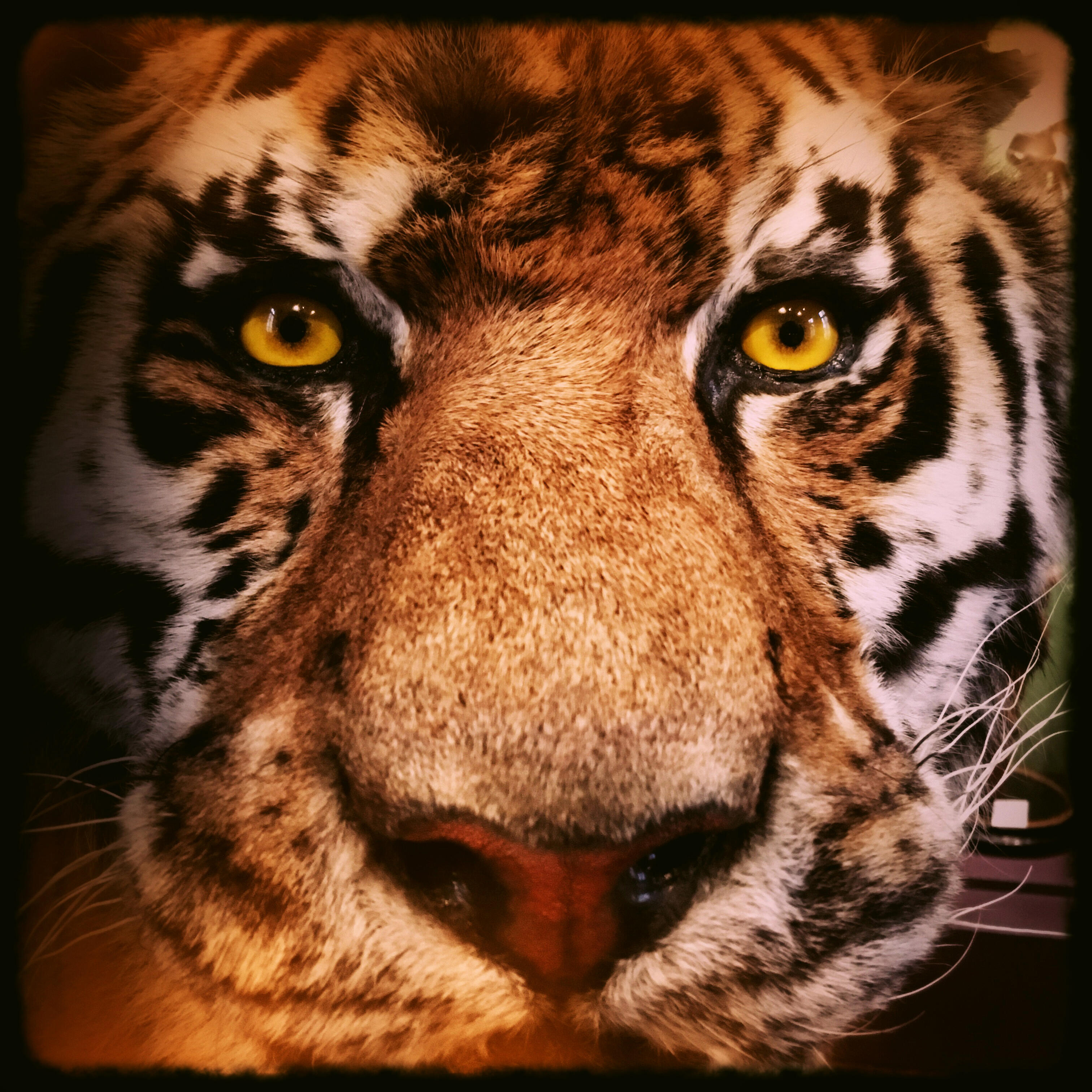 Guillaume RIVIERE La traque 20170201_163305_651okX